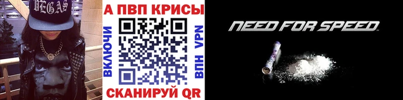дарнет шоп площадка как зайти Alpha PVP СК КРИС Аша