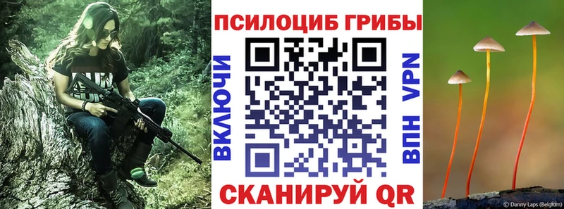 Псилоцибиновые грибы Magic Shrooms  Аша 